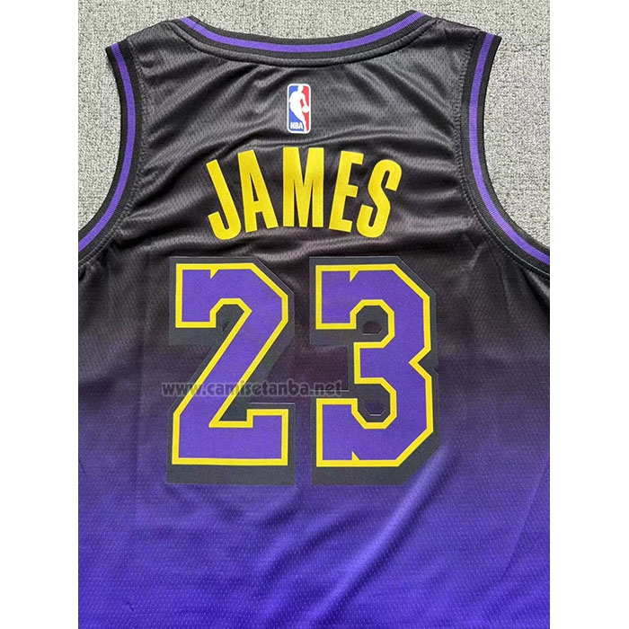 Camiseta Los Angeles Lakers LeBron James #23 Ciudad 2024-25 Violeta